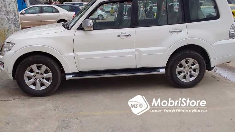 MobriStore Pajero