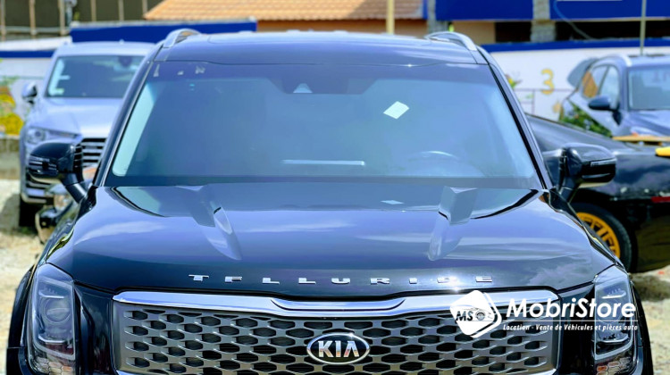 MobriStore Kia Telluride