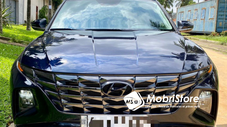 MobriStore Hyundai