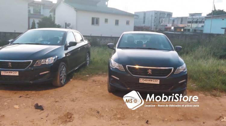 MobriStore Peugeot 301