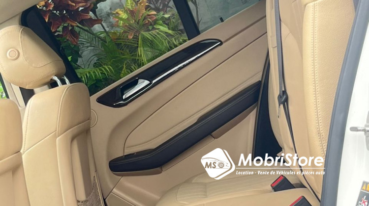 MobriStore GLE350