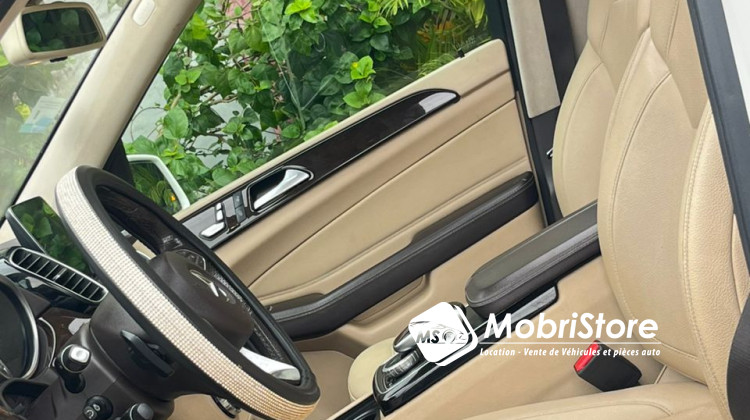 MobriStore GLE350