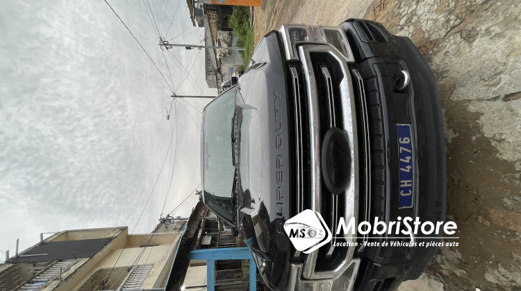 MobriStore F250