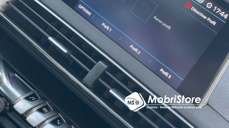 MobriStore 3008