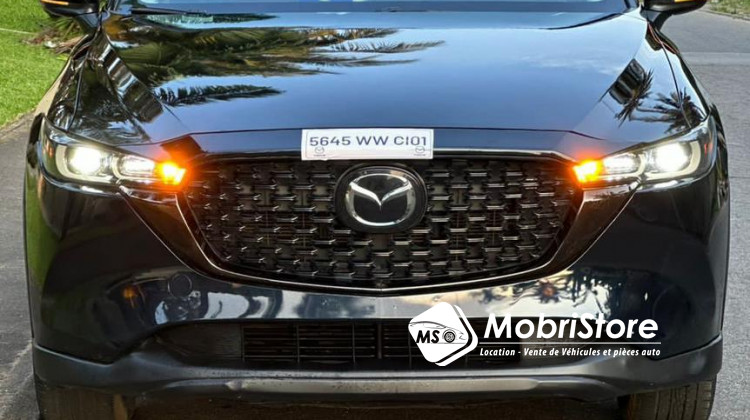 MobriStore Madame cx5 skyativG
